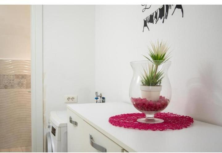 La Casa Di Chiara Appartement Taviano  Buitenkant foto